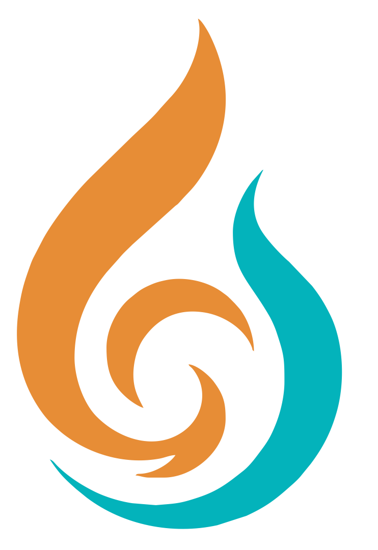 Dyanjin Flame Logo